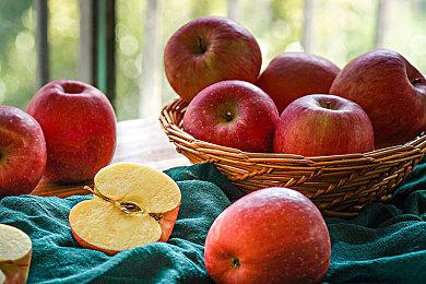 《潜行者2》PC和主机版都会支持MOD